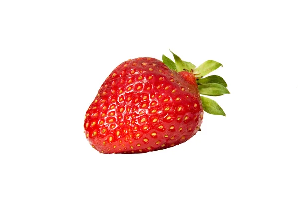 一个草莓 — 图库照片