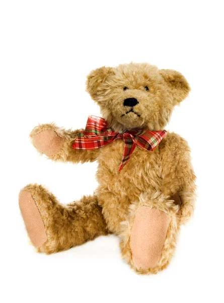 stock image Teddy bear toy