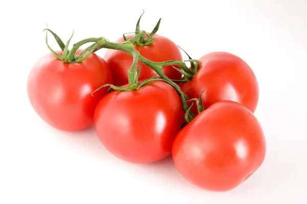 Fünf Tomaten auf einem Stiel lizenzfreie Stockfotos