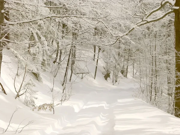 Pista de Inverno — Fotografia de Stock