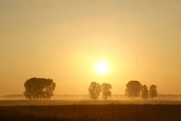 Pittoreska soluppgång över fältet — Stockfoto