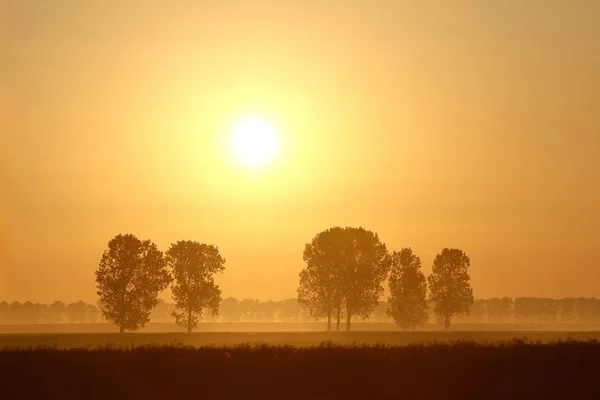 畑の上で日の出 — ストック写真