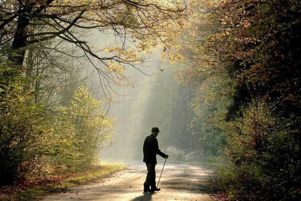 Oudere man in herfst bos — Stockfoto