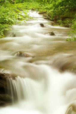 Forest stream in spring clipart