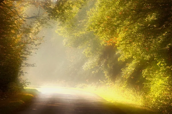 Landweg bij dageraad — Stockfoto