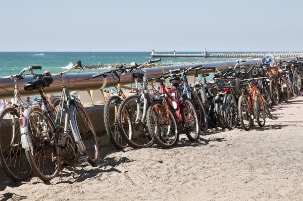 Beaucoup de vélos sur la plage — Photo