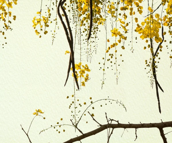 Χρυσή ντους δέντρο σε χειροποίητο χαρτί — Φωτογραφία Αρχείου