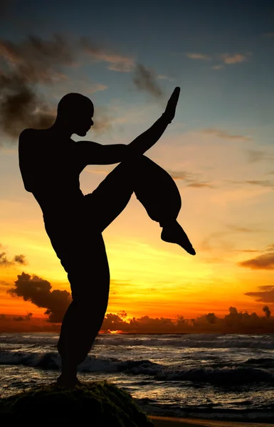 Figuur van het martial art op strand — Stockfoto