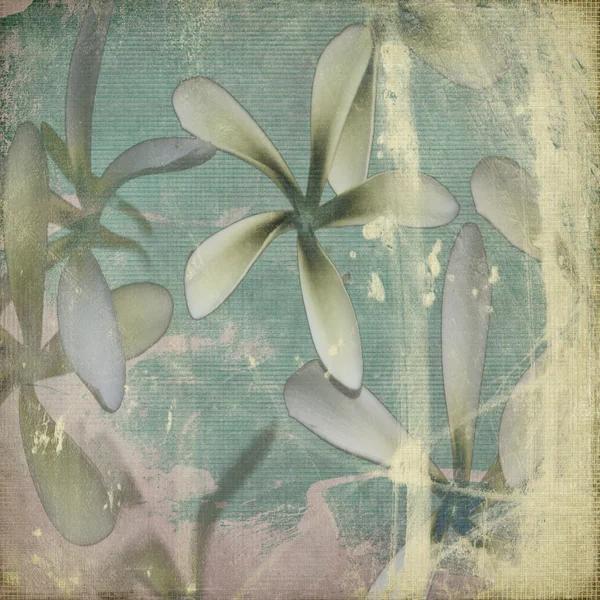 Grunge Pastel flor fundo — Fotografia de Stock