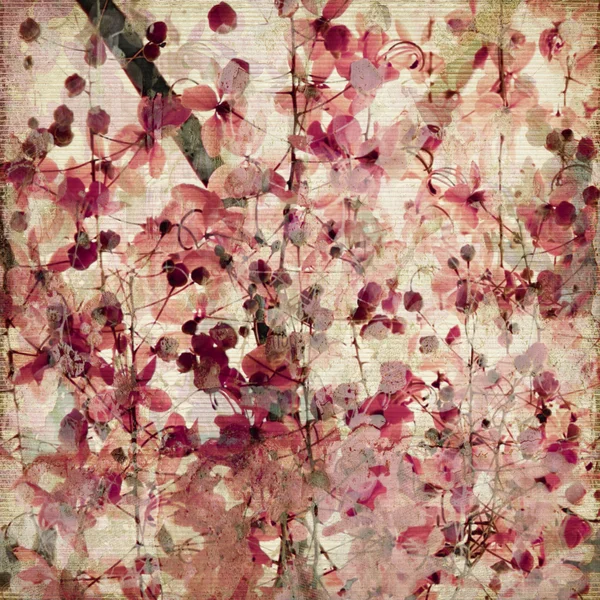 Grunge rosa Blüten Hintergrund — Stockfoto
