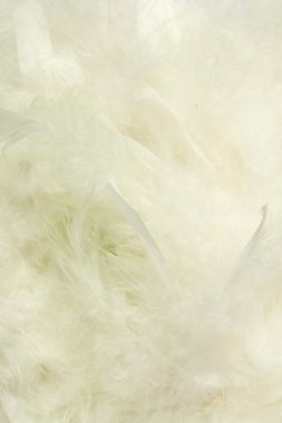 Background of fluffy creamy cloud-like feathers clipart