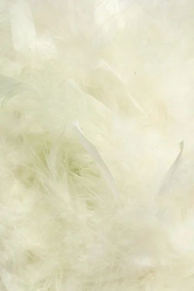 Background of fluffy creamy cloud-like feathers — Stock Photo, Image