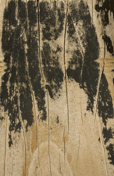 木海滩木板纹理背景 — 图库照片