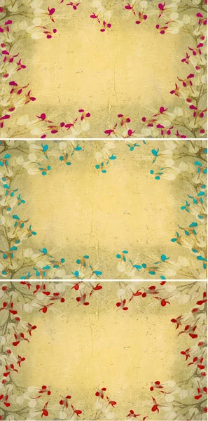 Butterfly flower frames on light grunge wall — Stock Photo, Image