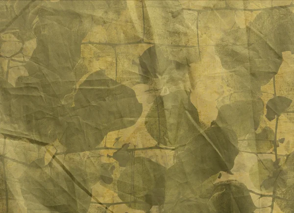 しわのキャンバスのオリーブ、茶色の葉 — ストック写真
