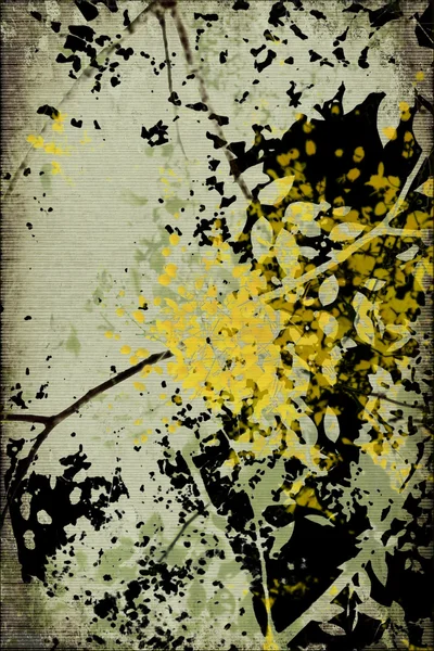 Grunge žebrované květ silueta tisk izolované na černém — Stock fotografie
