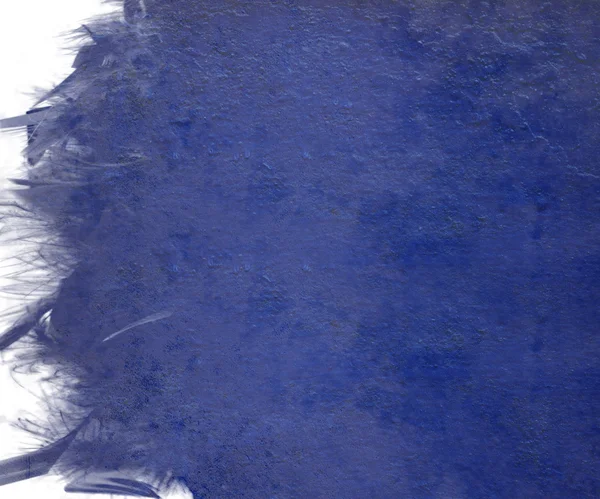Tinta azul nublada com borda de penas grunge isolada — Fotografia de Stock