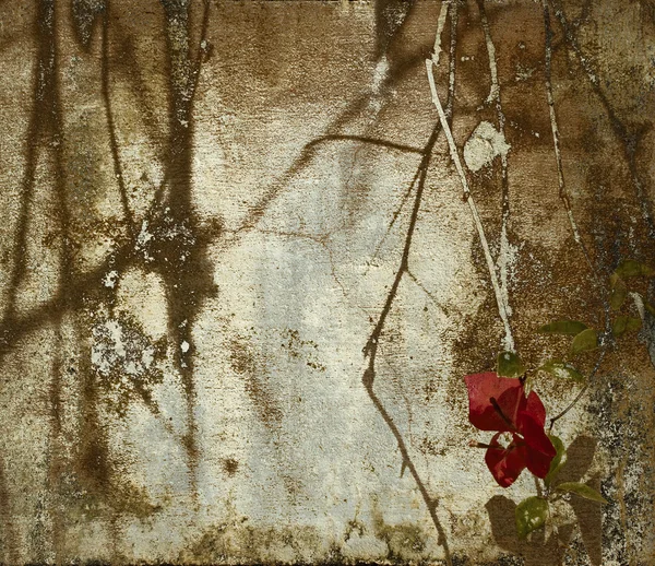 Grunge bougainvillea art background — Stock Photo, Image
