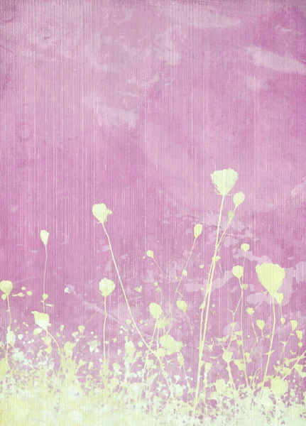 Flor del prado rosa fondo —  Fotos de Stock