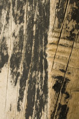 ahşap beach tahta arka plan