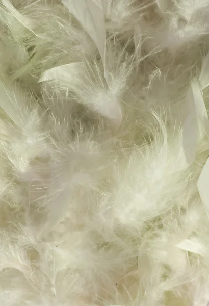 Fluffy slushy neve fumegante fundo de penas brancas — Fotografia de Stock
