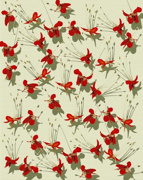 Röd fjäril blomma ut på räfflad handgjort papper — Stockfoto