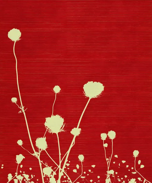 Sylwetka kwiat długich łodygach łąka — Zdjęcie stockowe