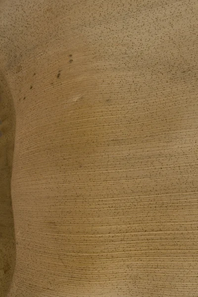 Natural coconut paper contour background — Stock Photo, Image
