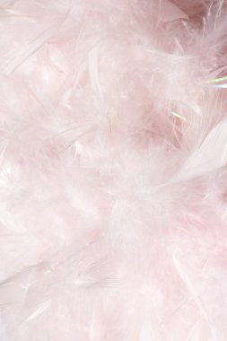 Fluffy pink feather light and cloudy clipart