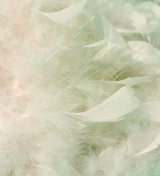 Smoky snow white and pink feathers background — Stock Photo, Image