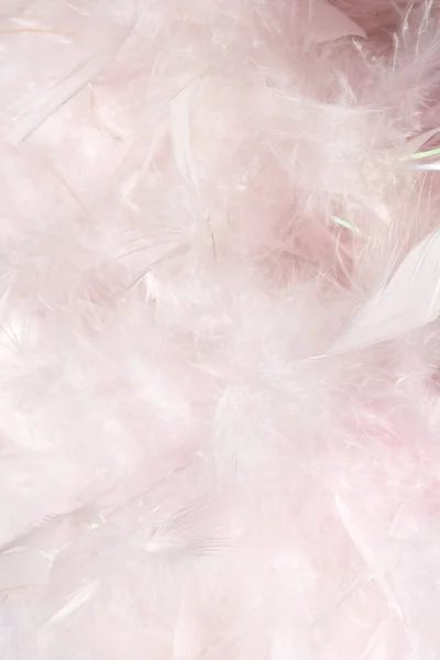 Fluffy pink feather light and cloudy — Stock Photo, Image
