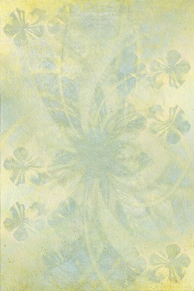 Kreideblume und Lotus Hintergrund — Stockfoto