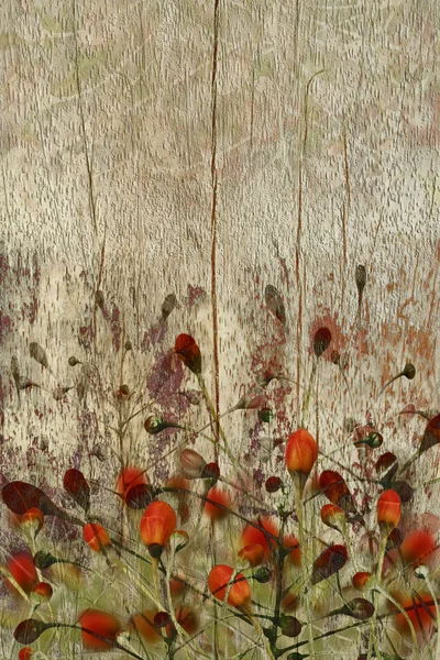 Röda blommor på grunge trä bakgrund — Stockfoto