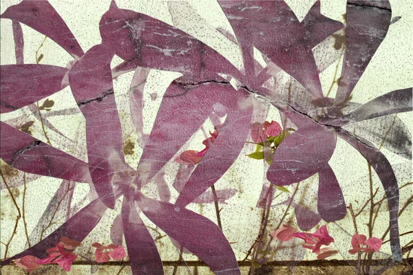 Bougainvilliers rose et violet fond abstrait — Photo