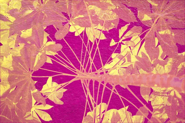 Creme und rosa Tapioka abstrakten Hintergrund — Stockfoto