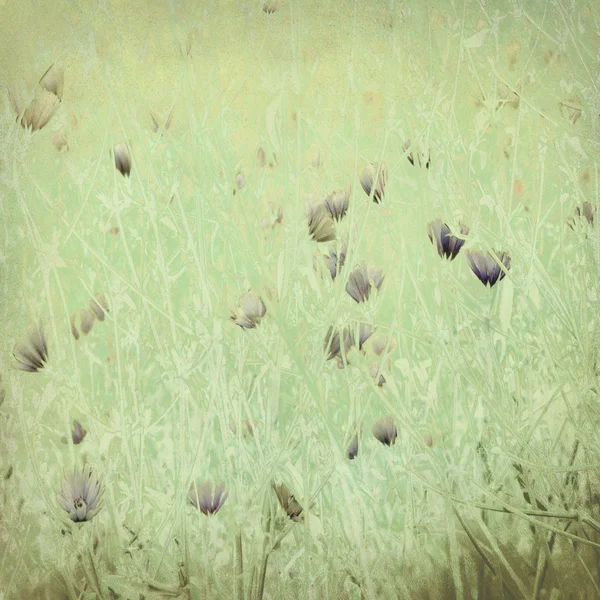 Soluk wildflower antika kağıda yazdırma — Stok fotoğraf
