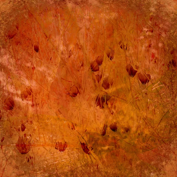 Grunge φθινόπωρο τυπωμένη ύλη τέχνης wildflower υφή — Φωτογραφία Αρχείου
