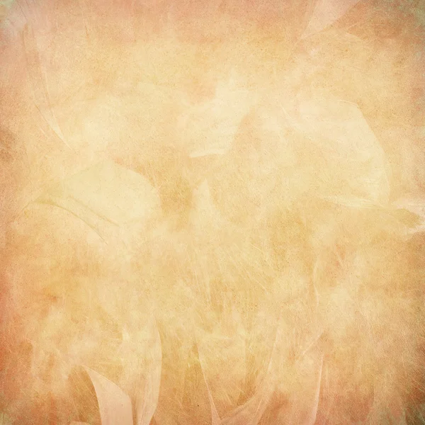 紙の上の桃羽抽象 — ストック写真