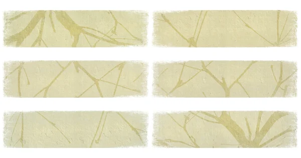 分離されたアイボリー紙バナー セット上の枝 — ストック写真