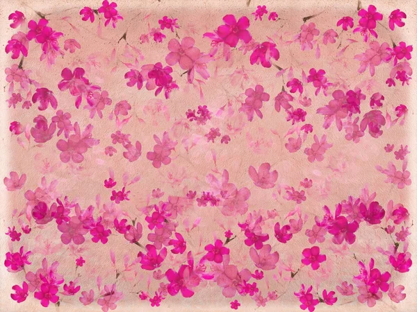 Rosa Blütenblume auf Pergament — Stockfoto