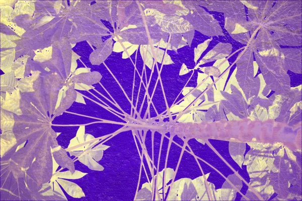 青と紫のクリーム色のタピオカ背景 — ストック写真