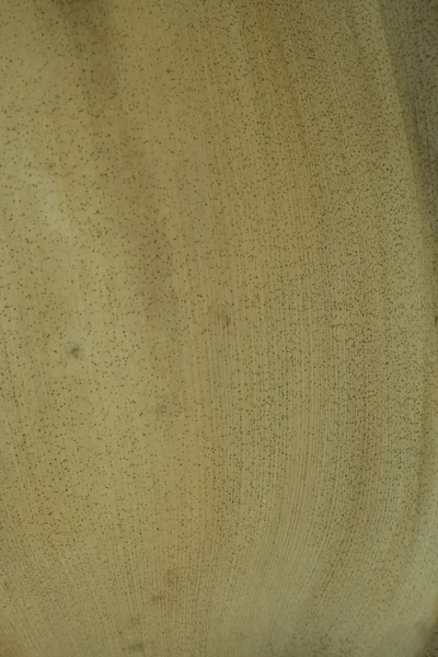 Естественный светлый кокосовый бумажный фон — стоковое фото