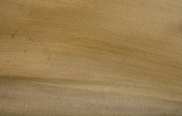 Natural coconut paper ridge contour background — Stock Photo, Image