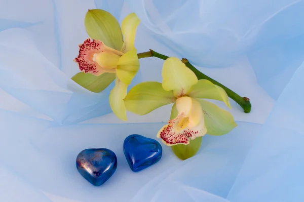 Orchid and two hearts — Stock Photo, Image