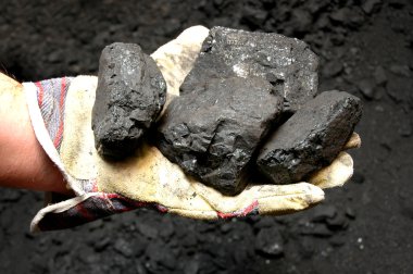 Coal in hand clipart