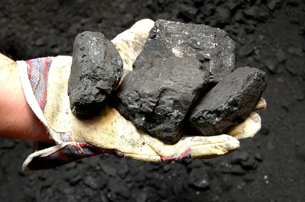 Węgla w ręku — Zdjęcie stockowe