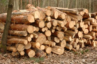 Lumber clipart