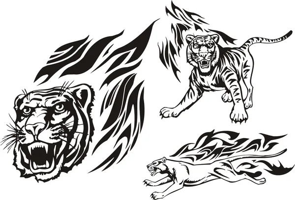 Flaming big cats. — Stock Vector © Digital-Clipart #3195205