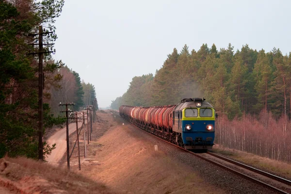 Treno diesel merci — Foto Stock