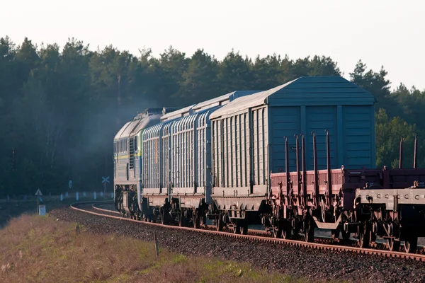 Грузовой дизельный поезд — стоковое фото